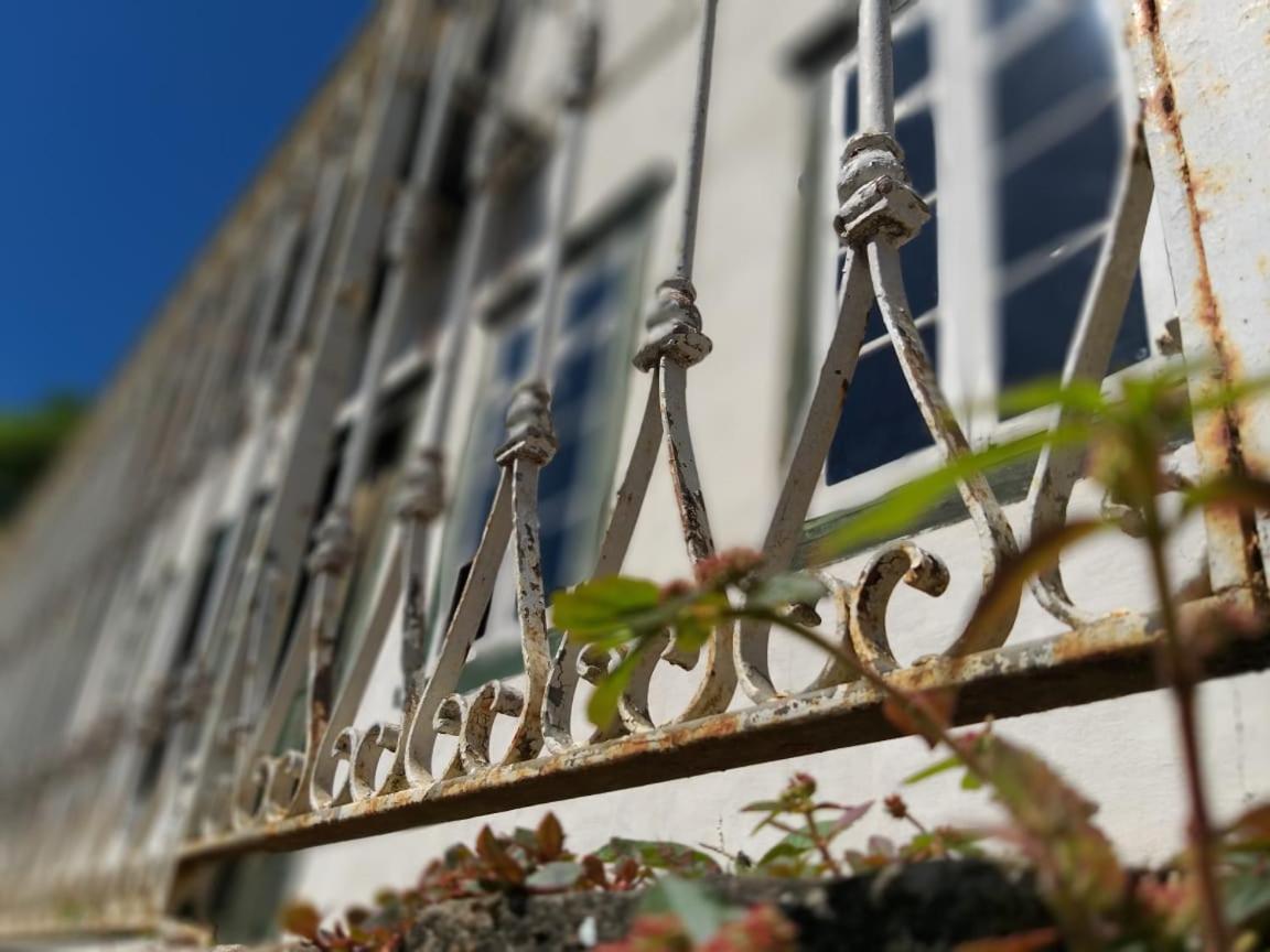Hostel Pousada Harpia Passa Quatro Eksteriør bilde